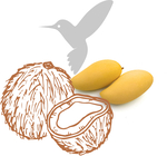 CANDLE FRAGRANCE - COCONUT MANGO NECTAR