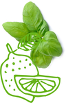 CANDLE FRAGRANCE - BASIL LIME